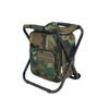 Folding Stool With Hot & Cold Backpack PS48